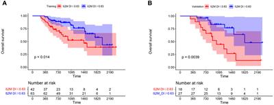 Prognostic significance of β2-microglobulin decline index in multiple myeloma